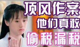 明星偷税爆料事件真相视频